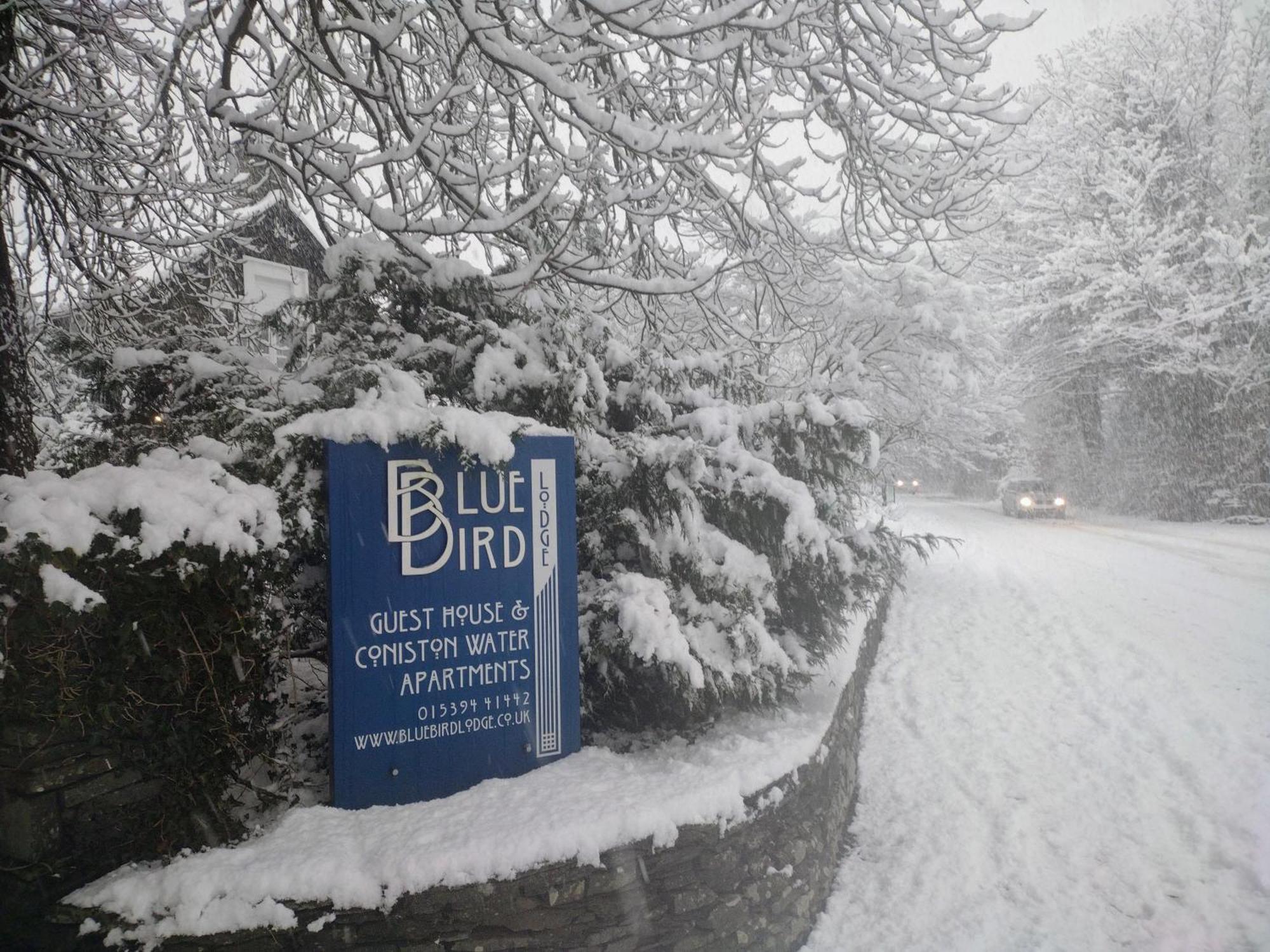 Bluebird Lodge Coniston Kültér fotó